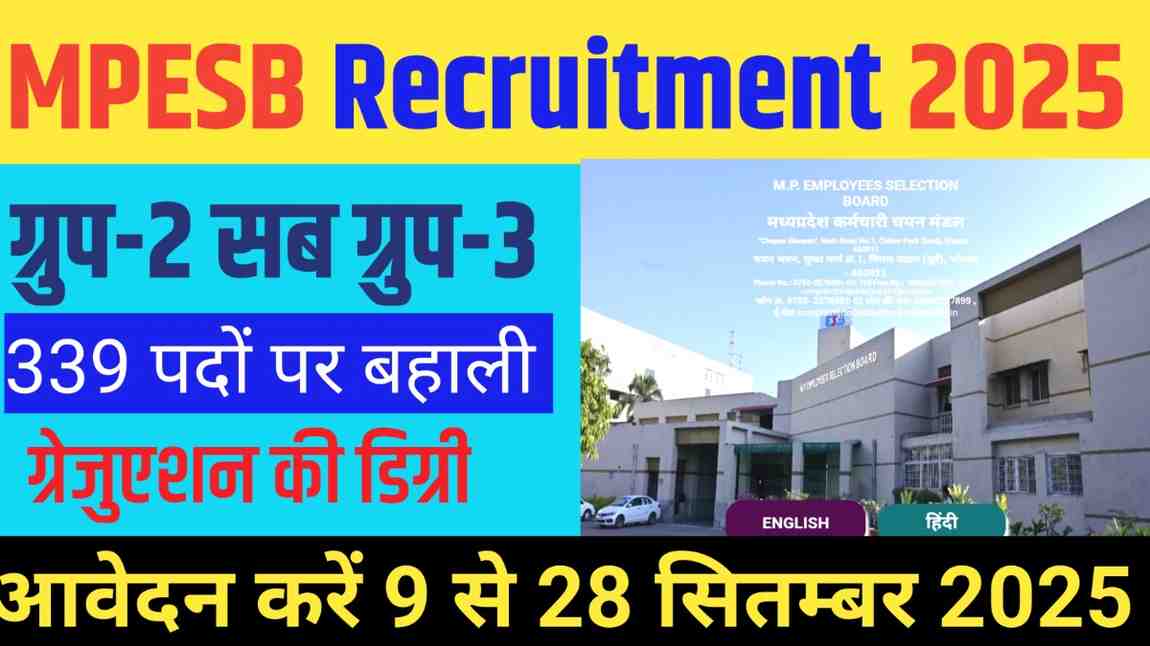 MPESB Recruitment 2025: 339 पदों पर निकली वैकेंसी, जानें आवेदन प्रक्रिया, योग्यता, सैलरी और एग्जाम पैटर्न